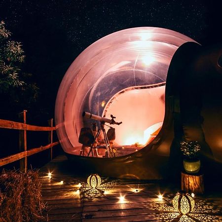 Bed and Breakfast Maso La Marianna Bubble Glamping In Trentino à Sant'Orsola Extérieur photo