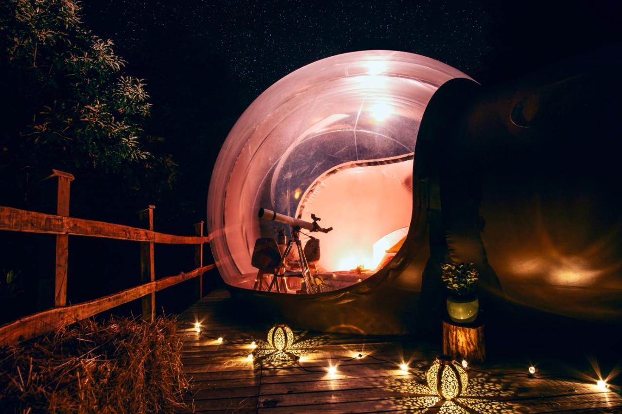 Bed and Breakfast Maso La Marianna Bubble Glamping In Trentino à Sant'Orsola Extérieur photo